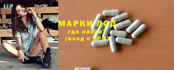 мдпв Каменногорск
