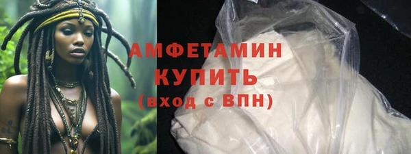 мдпв Каменногорск