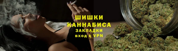 мдпв Каменногорск