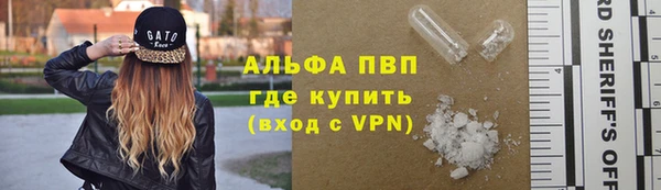мдпв Каменногорск