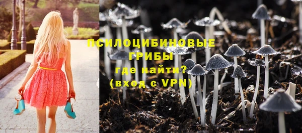 эйфоретик Каменка