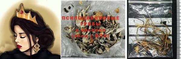 мдпв Каменногорск