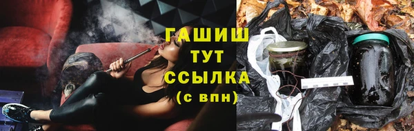 мдпв Каменногорск