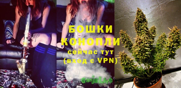 эйфоретик Каменка