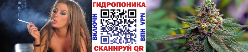 Купить где Вилючинск Конопля марихуана